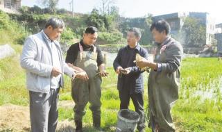 忠诚战士电视剧 忠诚战士电视剧