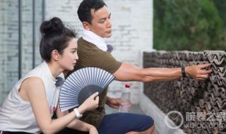 李冰冰个人资料简历