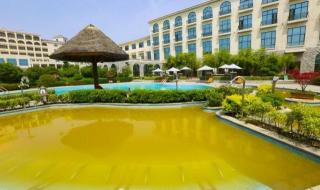 鄢陵汽车站 鄢陵汽车站