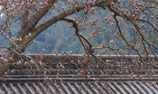 西安南五台 西安南五台