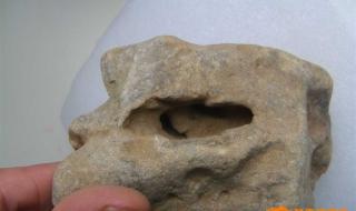 梦幻西游七窍玲珑阵 梦幻西游七窍玲珑阵