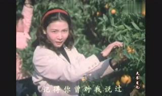 老电影今夜星光灿烂