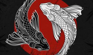 最好的壁纸 最好的壁纸