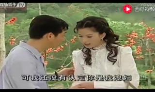 木棉花的春天片尾曲