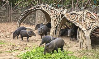 厄瓜多尔是哪个国家