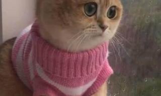 我的眼睛望着窗外 我的眼睛望着窗外