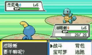 口袋妖怪绿宝石代码