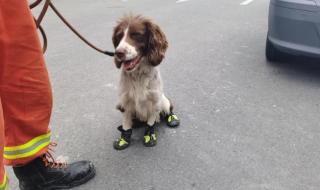 搜救现场消防员受伤