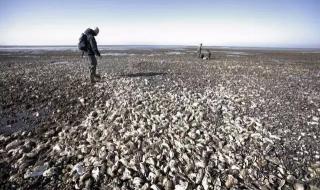 西班牙的签证 西班牙的签证