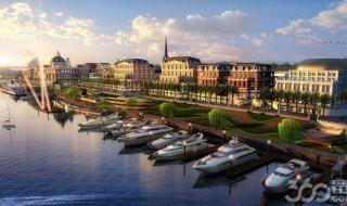 新西兰属于哪个洲